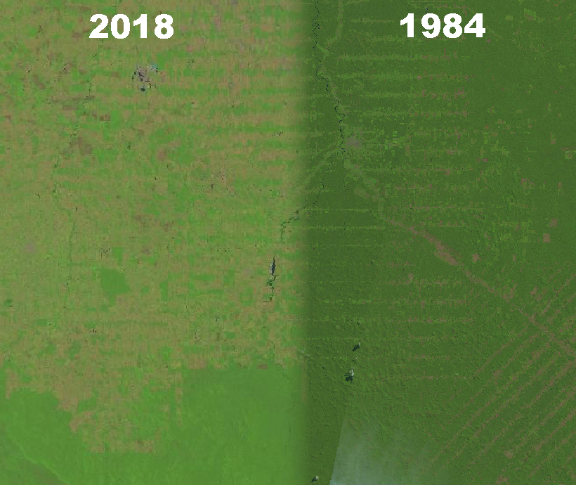 Deforestation in Western Brazil 