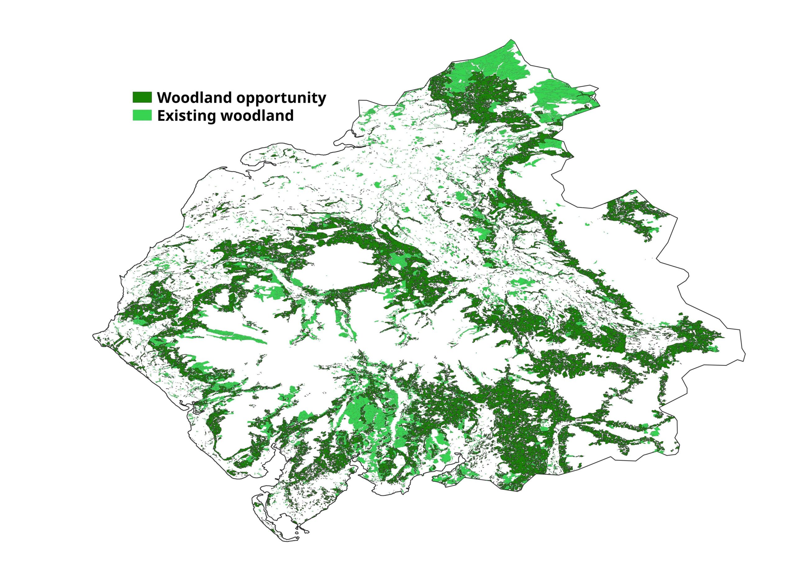 New woodland for Cumbria