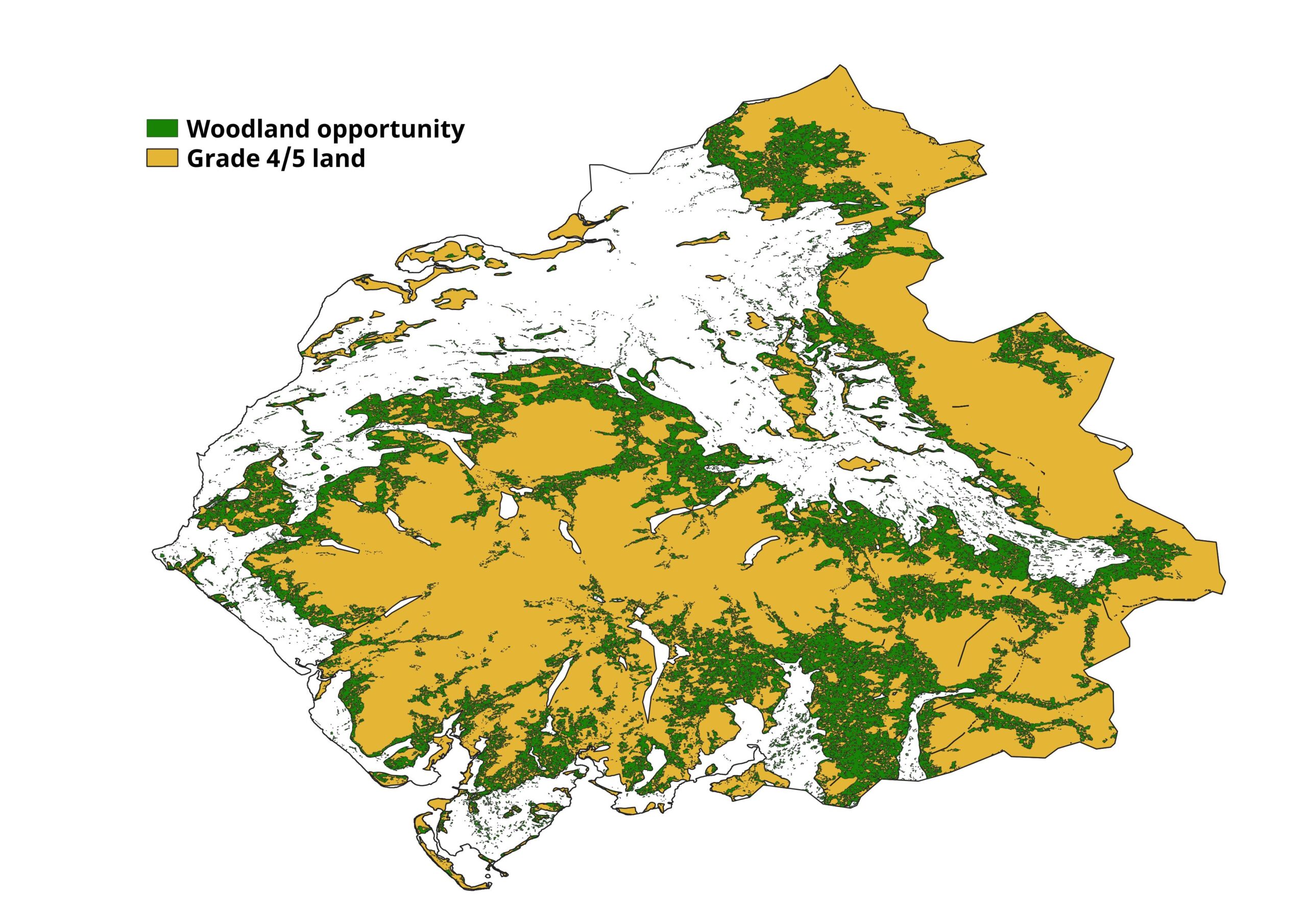 BNew woodland for Cumbria