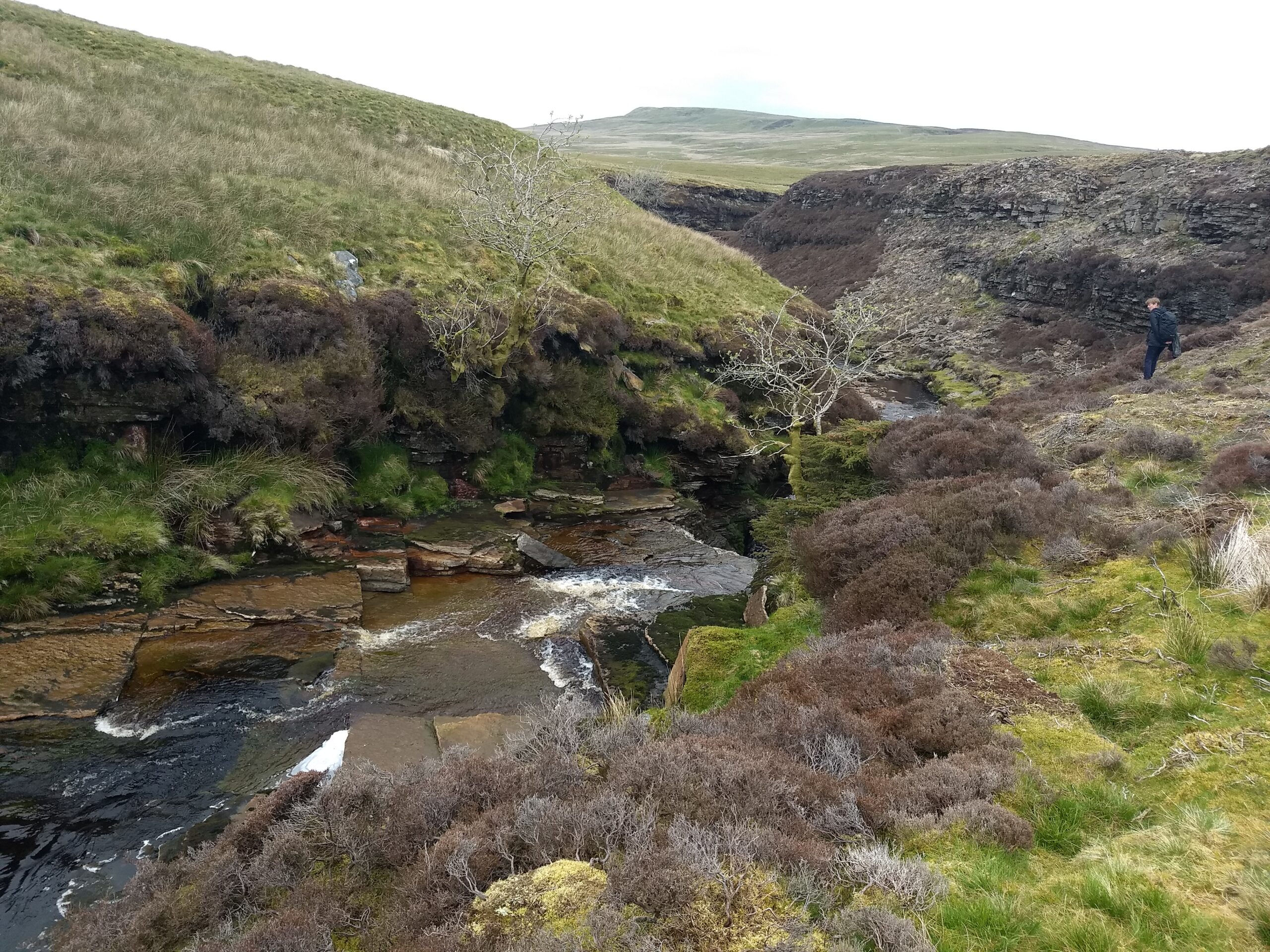 A small beck in Swaledale